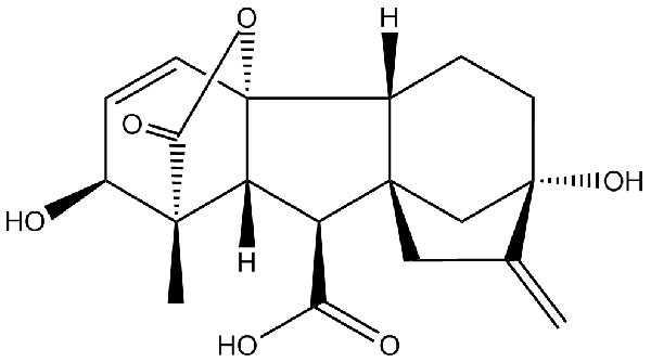 赤霉素GIBBERELLIC ACID，居然有這么神奇？