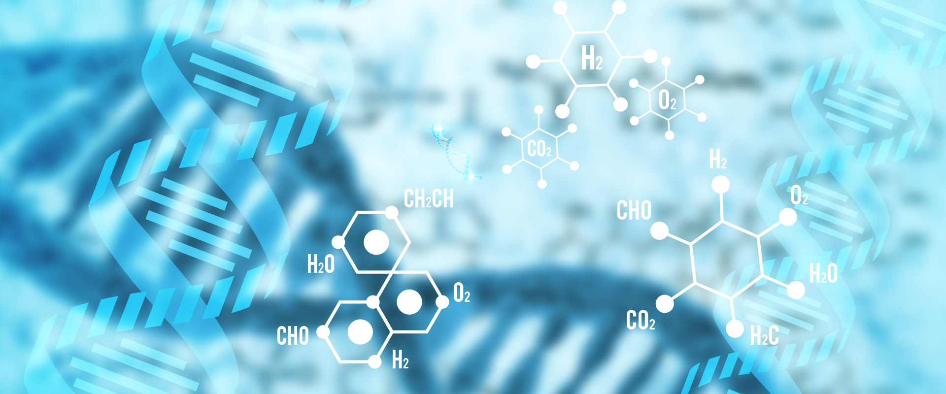 新品上市|高濃度T7 RNA 聚合酶及高產量T7 RNAi試劑盒